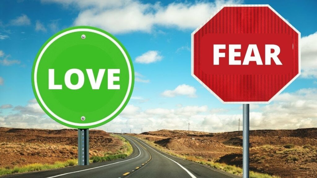 Love Is A Green Light, Fear Is A Stop Sign