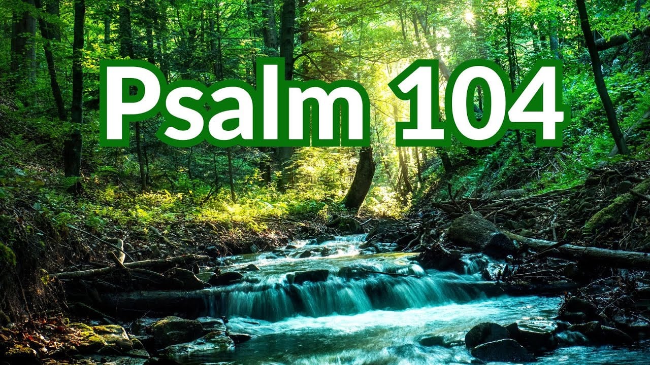 Psalm 104: Everything God Makes Is Dope