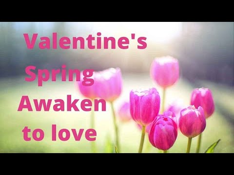 Valentine’s Day Awakens Us to Love in the Spring