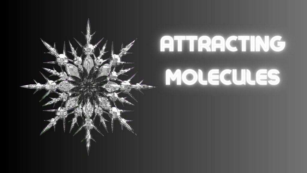 What Are Attraction Molecules in Your Body Manifesting?