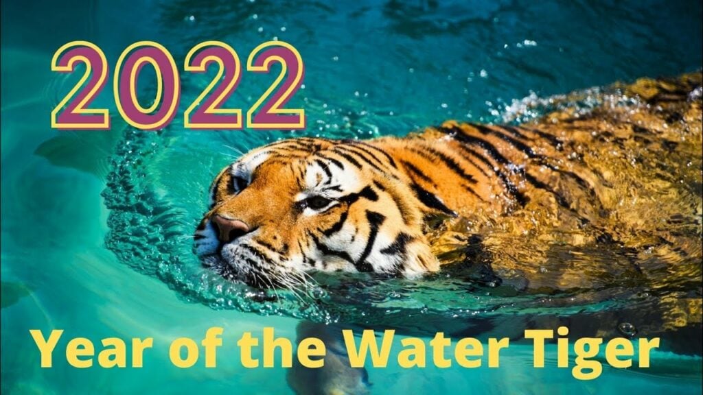 2022 is The Year of the Water Tiger Rrr!