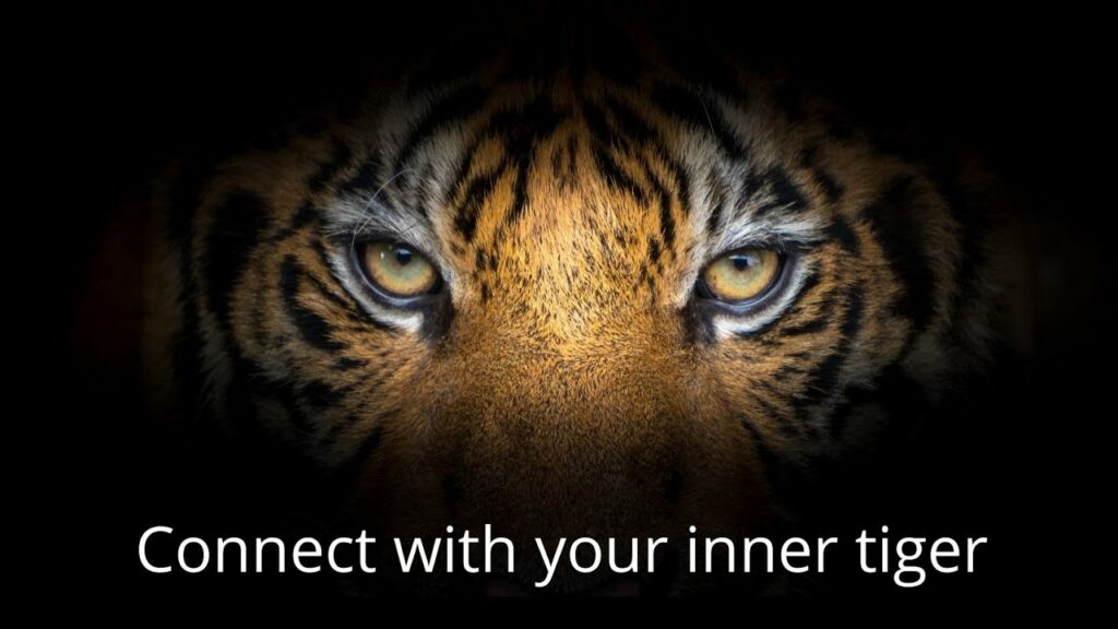 Meditation to Connect with Your Inner Tiger