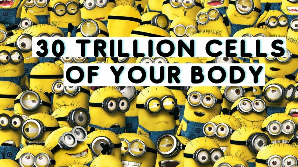 Move Your Body’s 30 Trillion Cells into Abundance