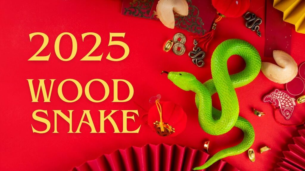 Yang Energy Gives Way to Yin in 2025 Year of the Wood Snake